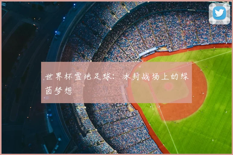 世界杯雪地足球：冰封战场上的绿茵梦想