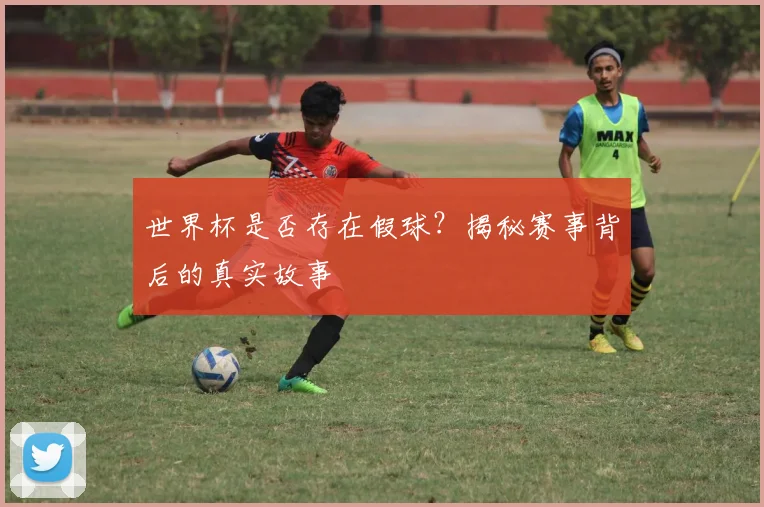 世界杯是否存在假球？揭秘赛事背后的真实故事