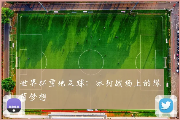 世界杯雪地足球：冰封战场上的绿茵梦想