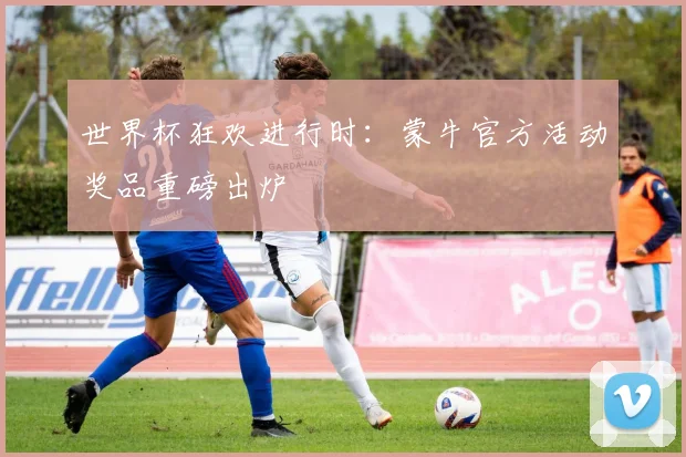 世界杯狂欢进行时:蒙牛官方活动奖品重磅出炉