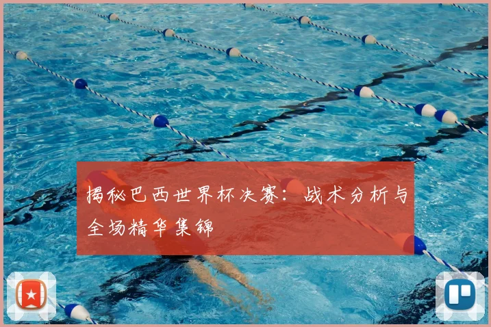 揭秘巴西世界杯决赛：战术分析与全场精华集锦